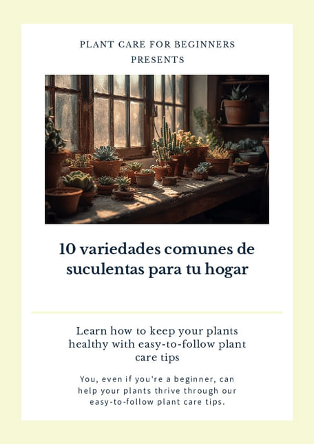 10 variedades comunes de suculentas para tu hogar