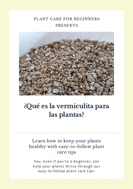 ¿Qué es la vermiculita para las plantas?
