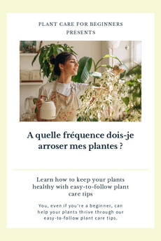 A quelle fréquence dois-je arroser mes plantes ?