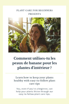 Comment utilises-tu les peaux de banane pour les plantes d'intérieur ?