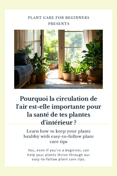 Pourquoi la circulation de l'air est-elle importante pour la santé de tes plantes d'intérieur ?