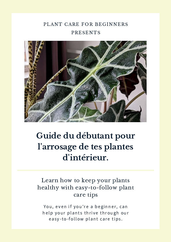 Achète ton Guide du débutant pour l'arrosage de tes plantes d