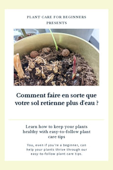 Comment faire en sorte que votre sol retienne plus d'eau ?