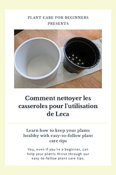 Comment nettoyer les casseroles pour l'utilisation de Leca