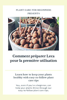 Comment préparer Leca pour la première utilisation