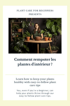 Comment rempoter les plantes d'intérieur ?
