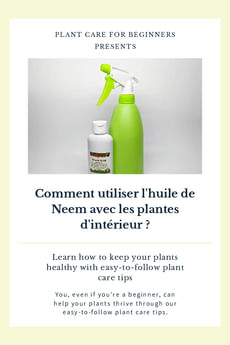 Comment utiliser l'huile de Neem avec les plantes d'intérieur ?