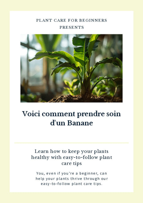 Comment entretenir un bananier sans le faire mourir