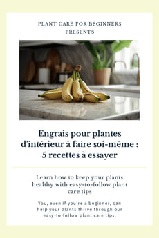 Engrais pour plantes d'intérieur à faire soi-même : 5 recettes à essayer
