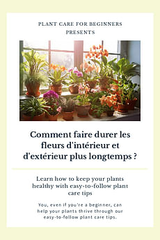 Comment faire durer les fleurs d'intérieur et d'extérieur plus longtemps ?