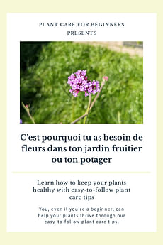 C'est pourquoi tu as besoin de fleurs dans ton jardin fruitier ou ton potager