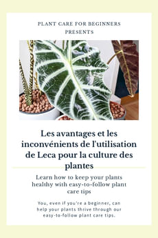 Les avantages et les inconvénients de l'utilisation de Leca pour la culture des plantes