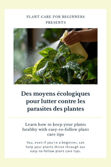 Des moyens écologiques pour lutter contre les parasites des plantes