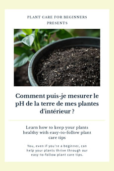 Comment puis-je mesurer le pH de la terre de mes plantes d'intérieur ?