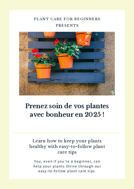 Prenez soin de vos plantes avec bonheur en 2025 !