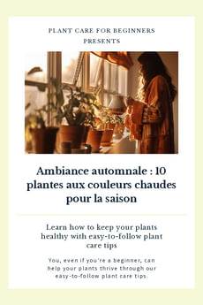 Ambiance automnale : 10 plantes aux couleurs chaudes pour la saison