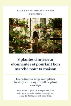 8 plantes d'intérieur étonnantes et pourtant bon marché pour ta maison