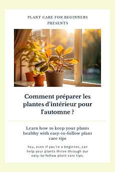 Comment préparer les plantes d'intérieur pour l'automne ?