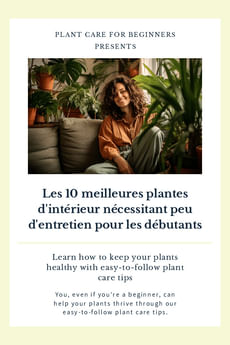 Les 10 meilleures plantes d'intérieur nécessitant peu d'entretien pour les débutants