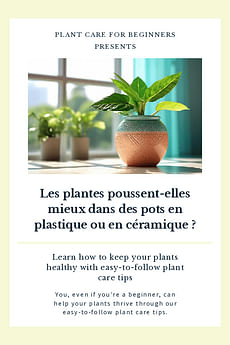 Les plantes poussent-elles mieux dans des pots en plastique ou en céramique ?