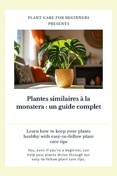 Plantes similaires à la monstera : un guide complet