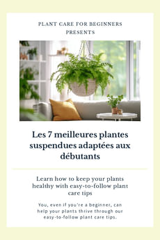 Les 7 meilleures plantes suspendues adaptées aux débutants