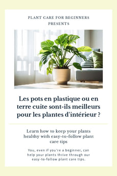 Les pots en plastique ou en terre cuite sont-ils meilleurs pour les plantes d'intérieur ?