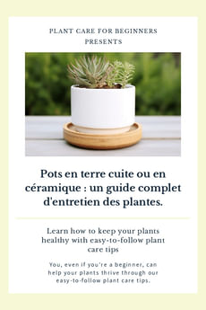 Pots en terre cuite ou en céramique : un guide complet d'entretien des plantes.