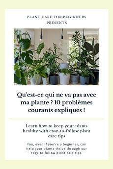 Qu'est-ce qui ne va pas avec ma plante ? 10 problèmes courants expliqués !