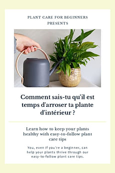 Comment sais-tu qu'il est temps d'arroser ta plante d'intérieur ?