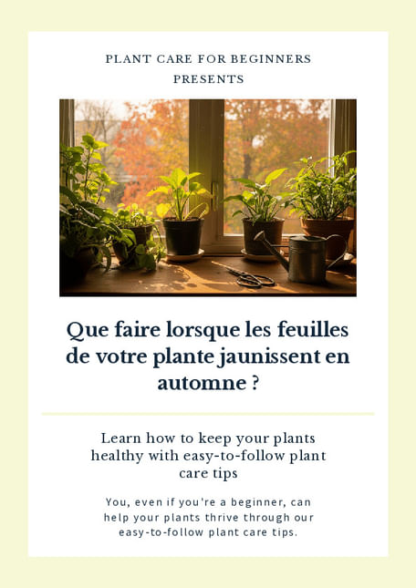 Que faire lorsque les feuilles de votre plante jaunissent en automne ?