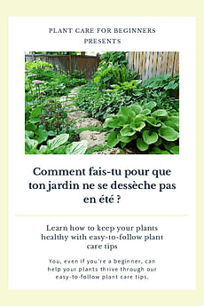 Comment fais-tu pour que ton jardin ne se dessèche pas en été ?