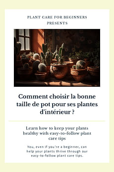 Comment choisir la bonne taille de pot pour ses plantes d'intérieur ?