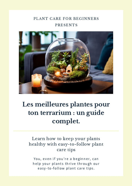 Les meilleures plantes pour ton terrarium : un guide complet.
