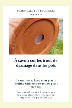 À savoir sur les trous de drainage dans les pots