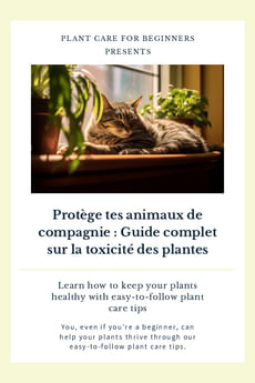 Protège tes animaux de compagnie : Guide complet sur la toxicité des plantes