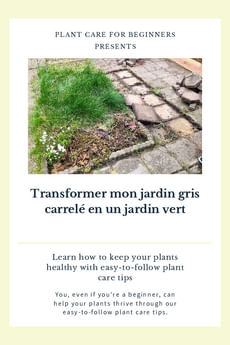 Transformer mon jardin gris carrelé en un jardin vert