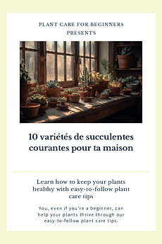 10 variétés de succulentes courantes pour ta maison