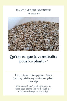 Qu'est-ce que la vermiculite pour les plantes ?