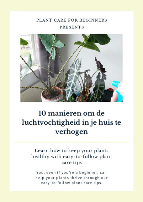 10 manieren om de luchtvochtigheid in je huis te verhogen