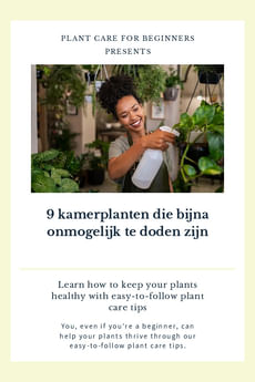 9 kamerplanten die bijna onmogelijk te doden zijn