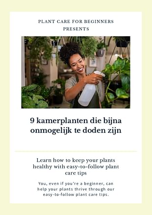 9 kamerplanten die bijna onmogelijk te doden zijn