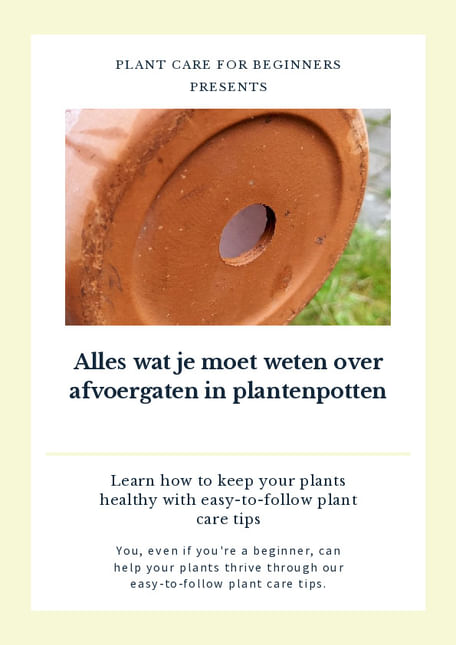 Alles wat je moet weten over afvoergaten in plantenpotten