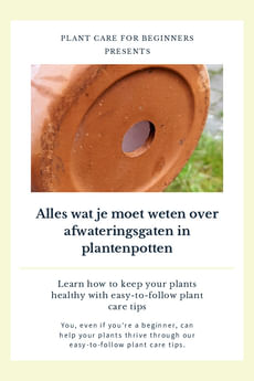 Alles wat je moet weten over afwateringsgaten in plantenpotten