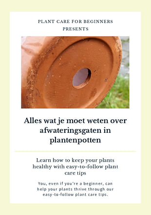 Alles wat je moet weten over afwateringsgaten in plantenpotten