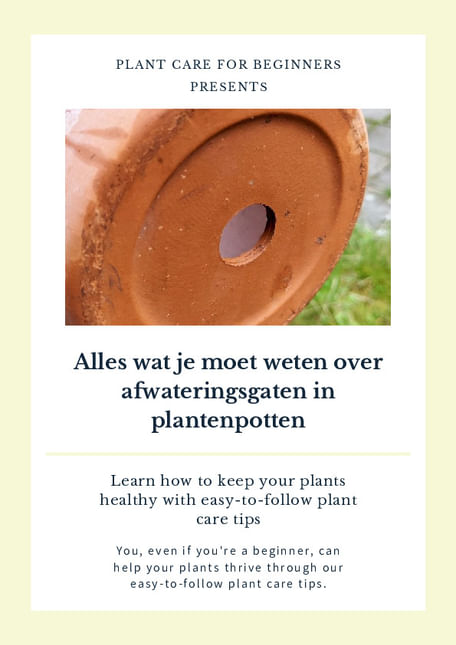 Alles wat je moet weten over afwateringsgaten in plantenpotten