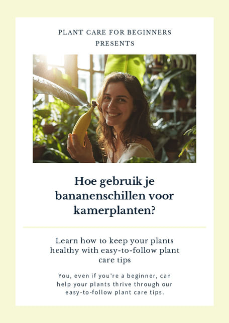 Hoe gebruik je bananenschillen voor kamerplanten?
