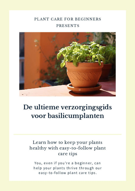 De ultieme verzorgingsgids voor basilicumplanten
