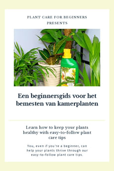 Een beginnersgids voor het bemesten van kamerplanten