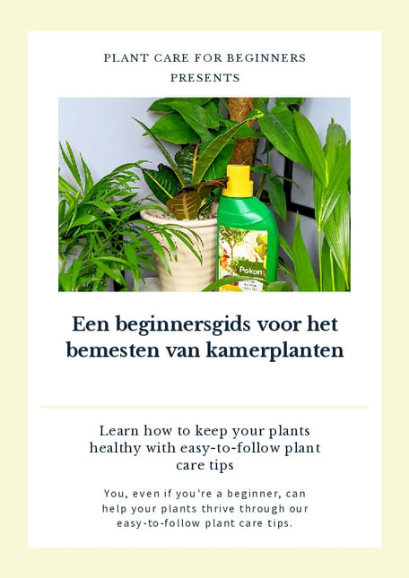 Een beginnersgids voor het bemesten van kamerplanten